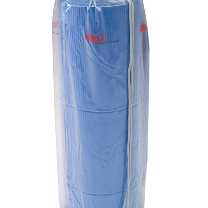 Airex Translucent Plastic Carry Bag 32-1294 - Play and Sync