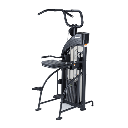 SportsArt DF-307/P711 Performance Dual Function Chin-Up/Tricep Dip | 10-6998 - Play and Sync