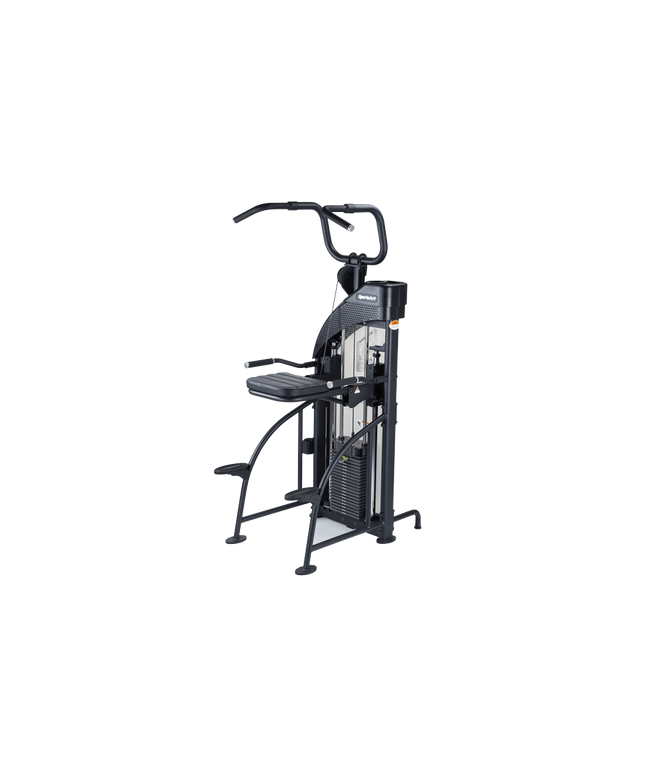SportsArt DF-307/P711 Performance Dual Function Chin-Up/Tricep Dip | 10-6998 - Play and Sync