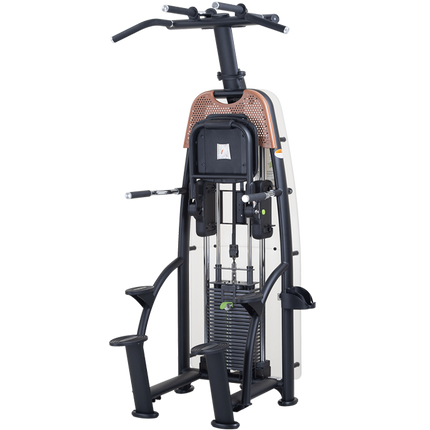 SportsArt N911 Status Assisted Chin-Up and Tricep Dip | 10-6950 - Play and Sync