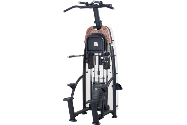 SportsArt N911 Status Assisted Chin-Up and Tricep Dip | 10-6950 - Play and Sync