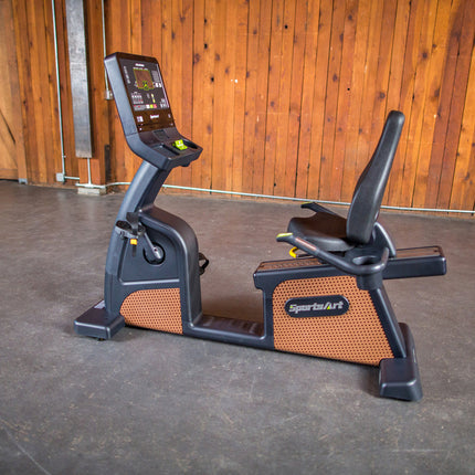 C576R Status Eco Natural Recumbent Cycle 10 6871 - Play and Sync