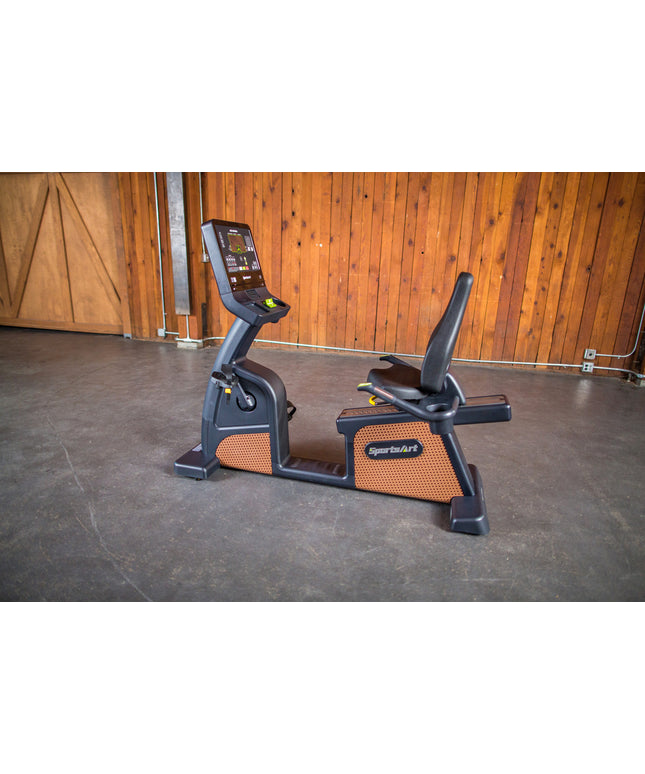 C576R Status Eco Natural Recumbent Cycle 10 6871 - Play and Sync
