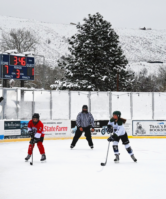 1230 Hockey/Lacrosse Scoreboard- Indoor