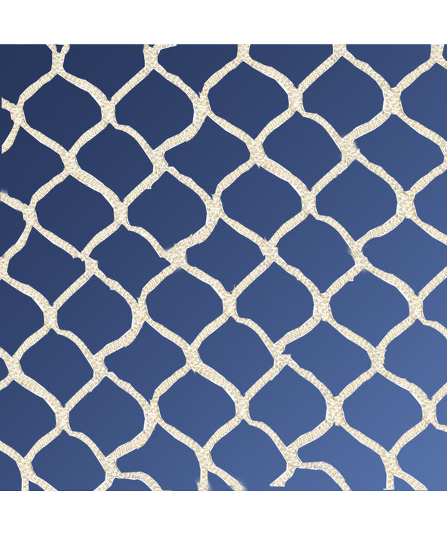 Jaypro Sports Lacrosse Replacement Net   Field (4 mm) (6 ft.W x 6 ft.H x 7 ft.D) LGN-30 - Play and Sync