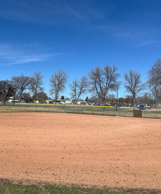 Newstripe DragKing Deluxe Infield Drag & Scarifier 10001592 10001592 - Play and Sync